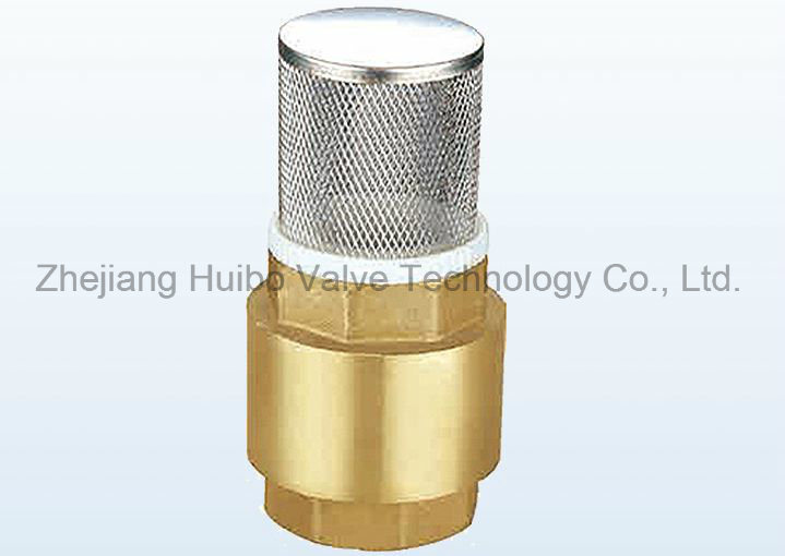 1/2''-2 1/2''inch Brass Spring Check Valve with Ss Filter