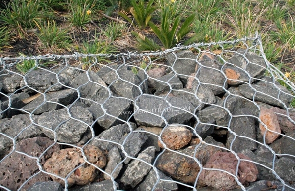 Galvanized PVC Coated Gabion Box