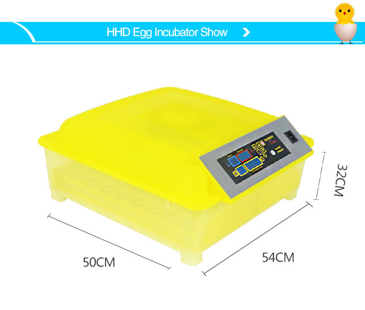 High Quality CE Approved Hatching Turkey Eggs Poultry Equipment