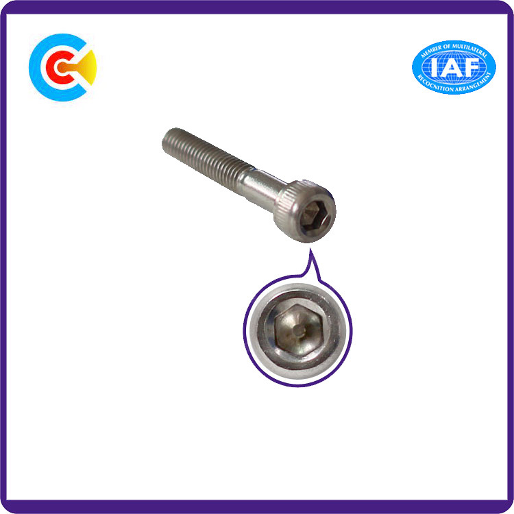 Stainless Steel M12/Hexagon Socket Knurled Cheese Head Cap Screw