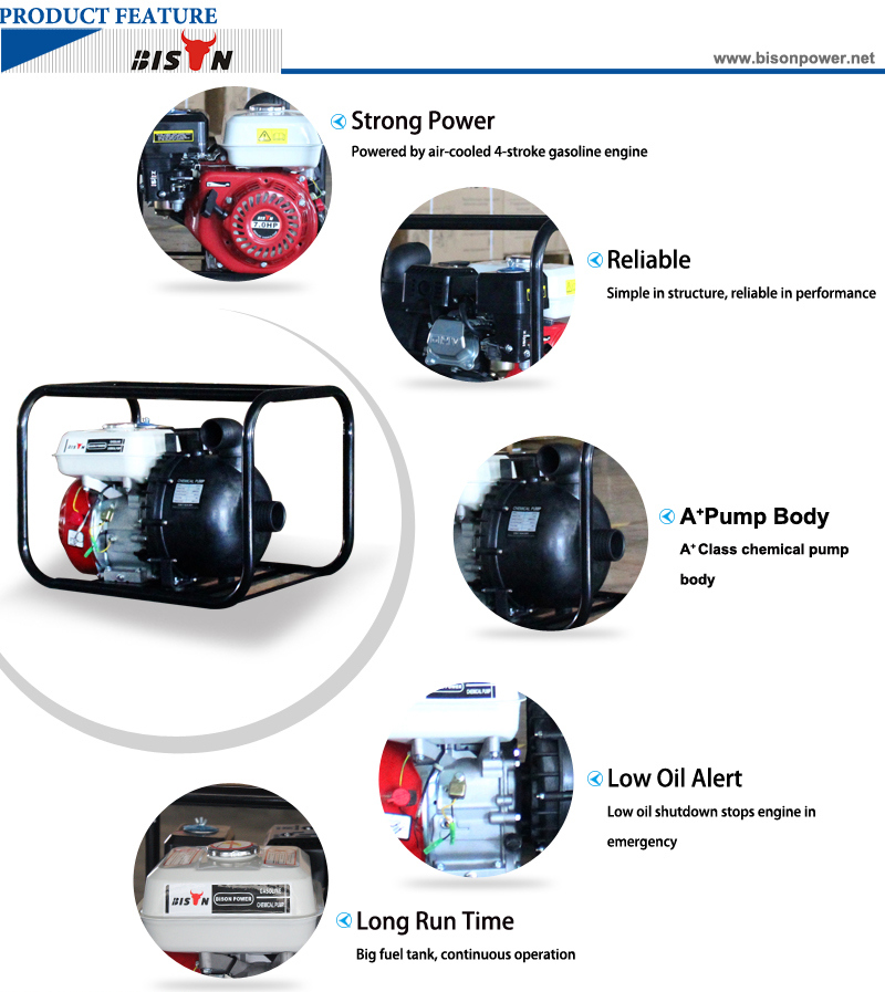 Bison (China) Bscwp20 2inch High Pressure High Qualtiy Pump Body Single Cylinder Water Pump Fish Farm