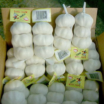 New White Garlic