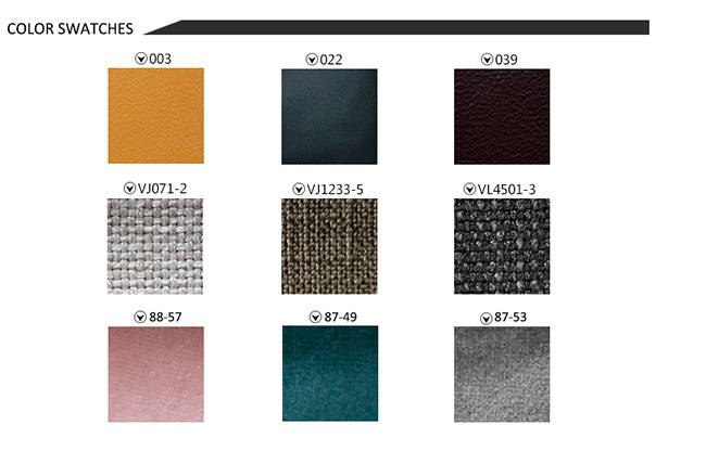 Pictures of Sofa Designs Material Is Fabric for Living Room