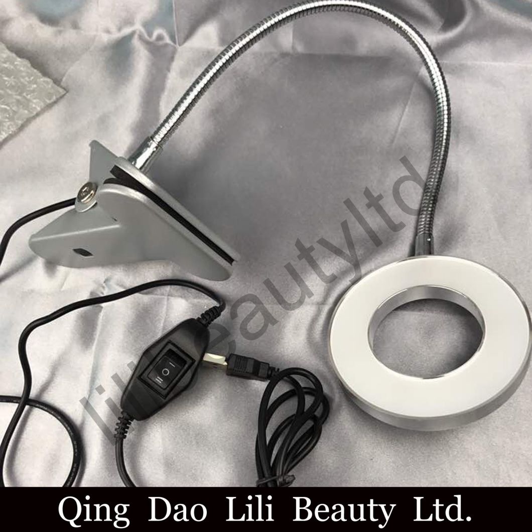 1PC USB Charging Eyebrow Lip Tattoo, Manicure Nail Art, Eyelash Extension Shadowless Warm Light Beauty Table Lamp with Clip