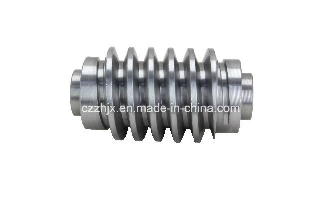 Transmission Parts Made of Worm and Worm Gear