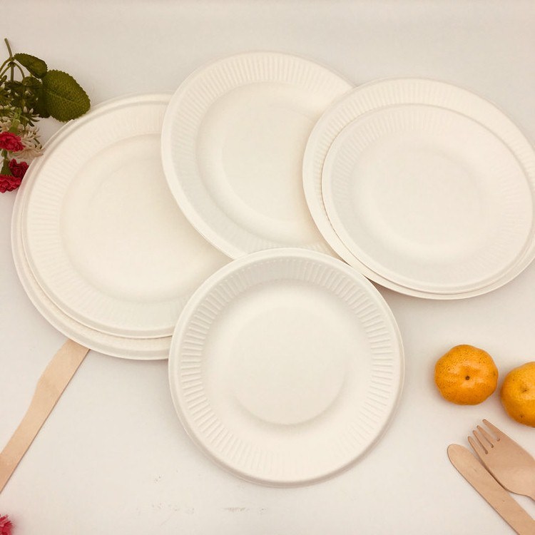 Dinnerware Set Biodegradable Compostable Dishes Plates