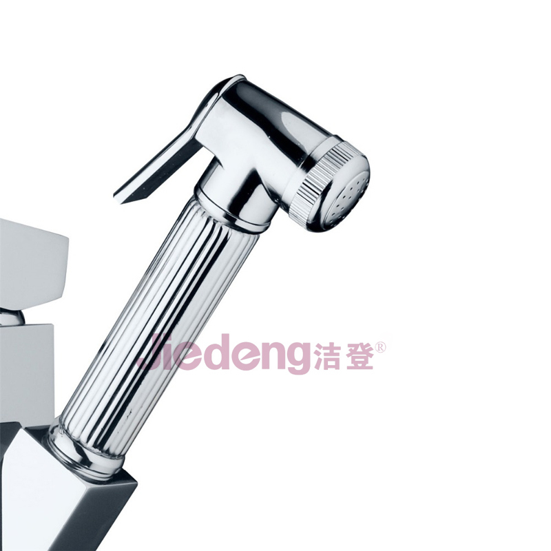 Two Handle Brass Kitchen Faucet with Pull out Hand Shower (S38)