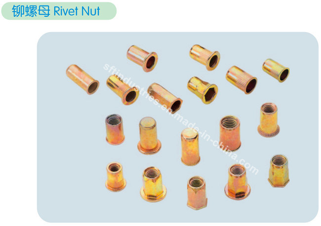 M6 Flat Head Knurled Round Body Blind Rivet Nut ISO13918