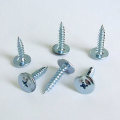 China High Quality Philips Modified Truss Head Coarse Thread Self-Tapping Screw