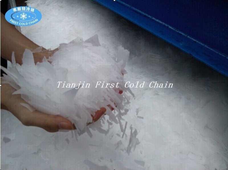 Flake Ice Maker Machine/Flake Ice Making Machine for Made in China