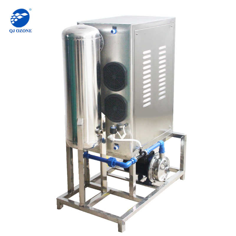 20g/H High Concentration Ozone Water Treatment Systems for Sale