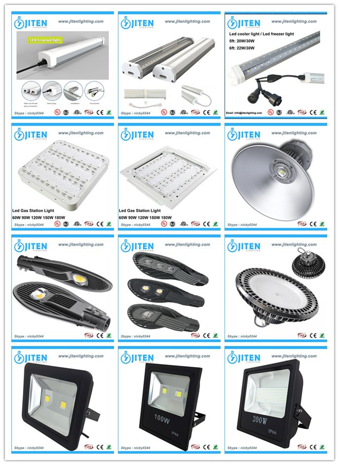China Supplier Outdoor Light 12W LED Wall Lamp