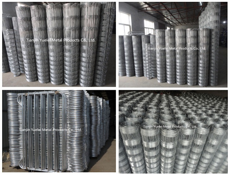 Welded Wire Mesh Used Wave Shape Wire/Galvanized Wire and Black Annealed Wire Manufacture//Welded Metal Wire Mesh Fence with Powder Coated