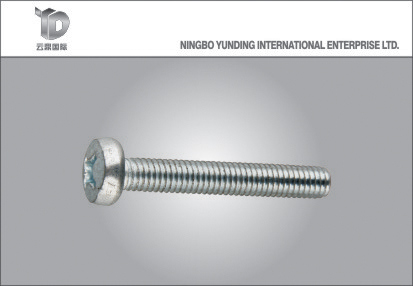 2016 Hot Sale Stainless Steel Self-Tapping Screw with High Quality
