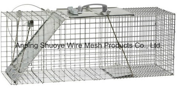 Coyote Metal Wire Mesh Cages