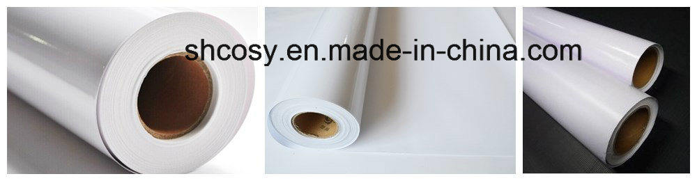 260GSM RC Glossy Inkjet Photo Paper for Pigment, Dye Ink