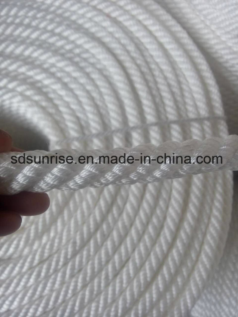 Hot Selling 8 Strand PP Danline /PP Multifilament Ropes with Premium Quality