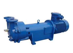 2BV Water Ring Vacuum Pump /Liquid Ring Vacuum Pump