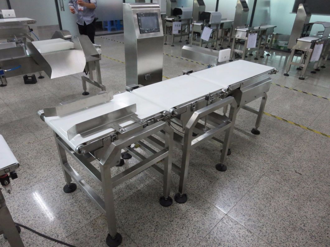 Industrial Conveyor Check Weigher Machine Price Made in China for Seafood/Fruit/Bread