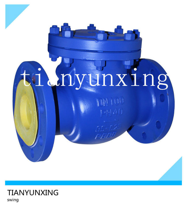 DIN Swing Type Flanged End Cast Iron Check Valve