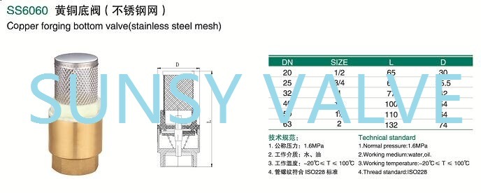 Ss6060 Bsp NPT Brass Copper Bottom Valve Foot Valve