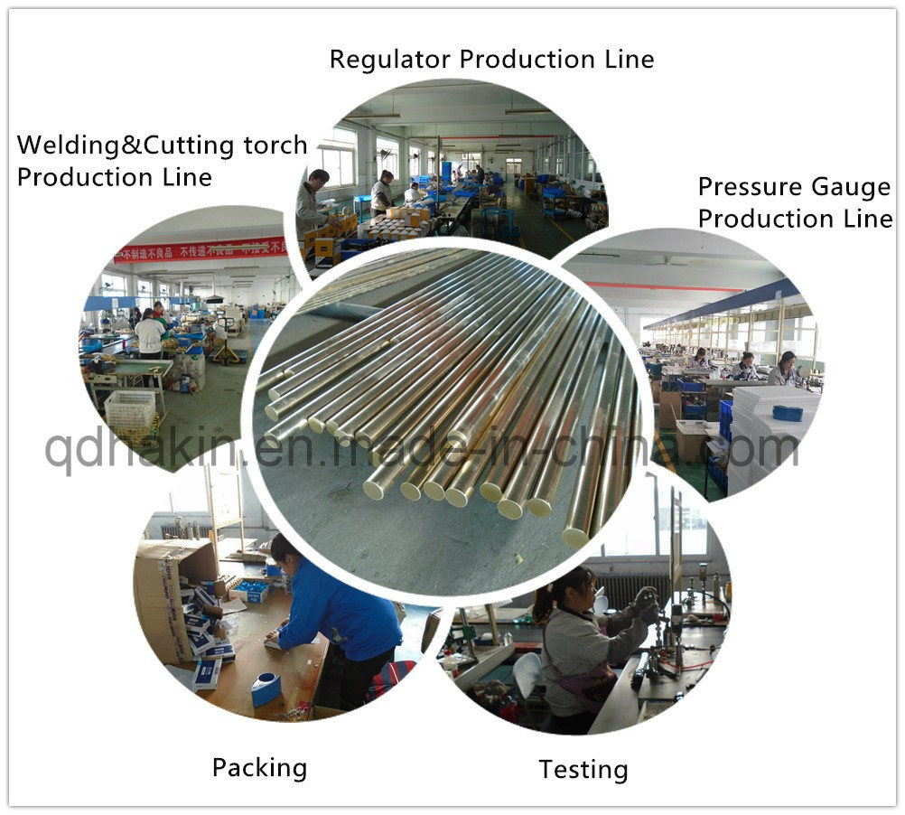 Good Selling CO2 Pressure Regulator with SGS