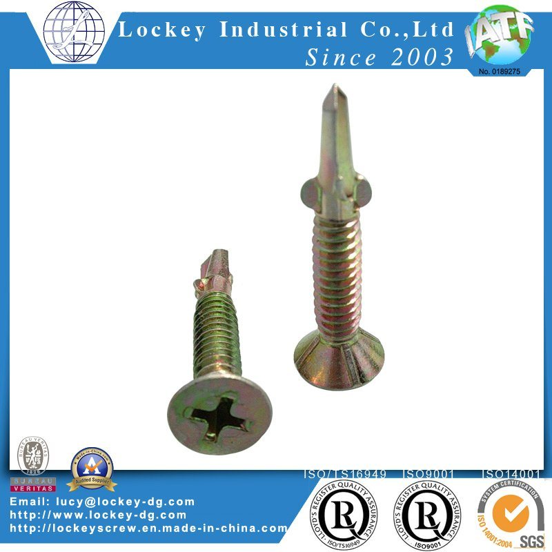 Stainless Steel 410 Phillips Pan Head Self Drilling Screw