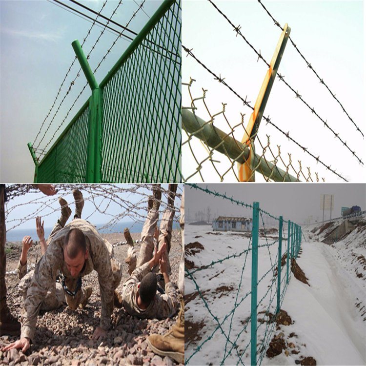 Plastic PVC Coated Barbed Wire Mesh (15*15)