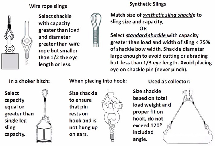 Marine Hardware High Hardness Dee Shackle for Sale