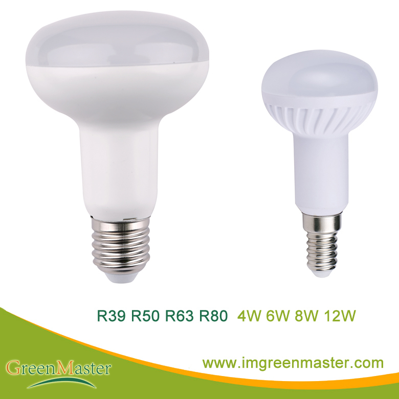 R39/50/63/80 4W 6W 8W 12W Plastic Aluminum LED Bulb