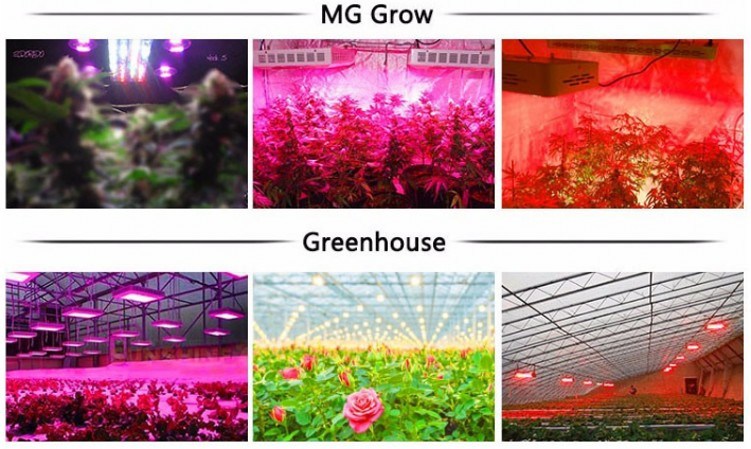 Full Spectrum 300W LED Grow Light for Greenhouse and Indoor Plant Flowering Growing