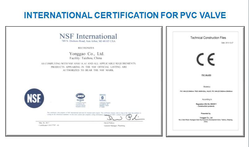 BS ASTM DIN Standard II UPVC Spring Check Valve Pn10