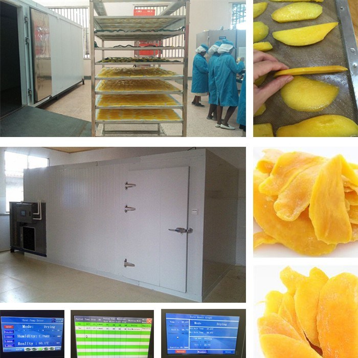 Commercial Dehydrated Fruits Machine, Ananas /Citrus Dryer Cabinet