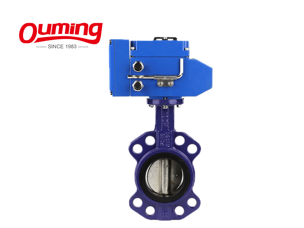 Dn 50 Multi-Position Handle Wafer Types Cast Iron Butterfly Valve