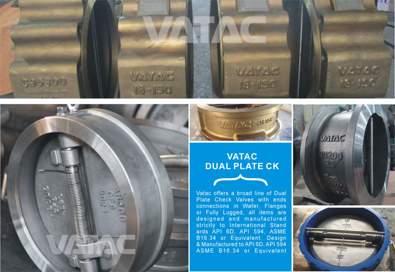 Cast Iron or Stainless Steel Lug Dual Plate Wafer Check Valve