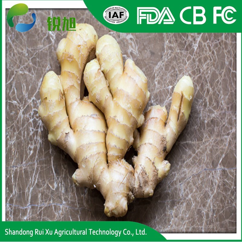 Fresh Ginger Big Size PVC Box for Export