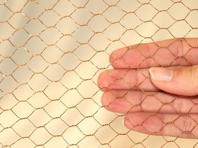 Anping Hexagonal Small Hole Chicken Wire Mesh Poultry Wire 1/2''