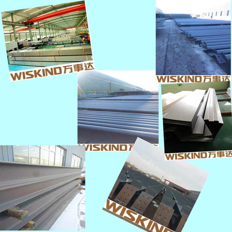 SGS ISO Professional Prefab Steel Structure for Warehouse Building