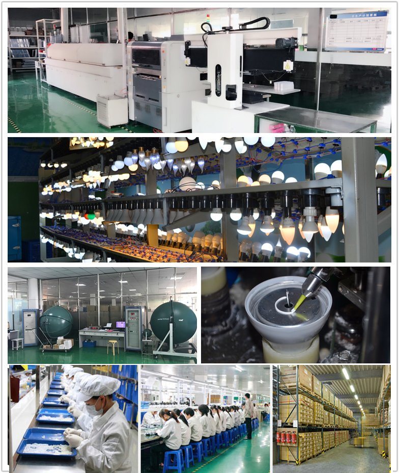 IP65 High Lumen of LED flood light 10W 20W 30W 50W 100W