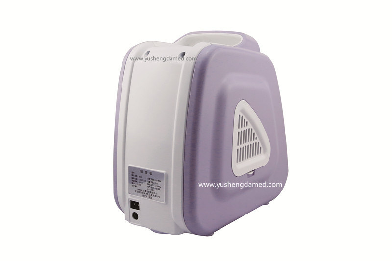 Hot Sale Medical Equipment Portable Small Oxygen Concentrator Vg-2