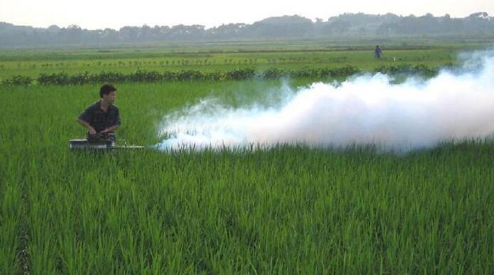 Best Price Agriculture Pest Mosquito Killer Thermal Fogging Smoke Sprayer Machine