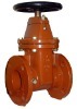 Cast Iron Flange Globe Valve (J41T/W/H/F/X-16Q)