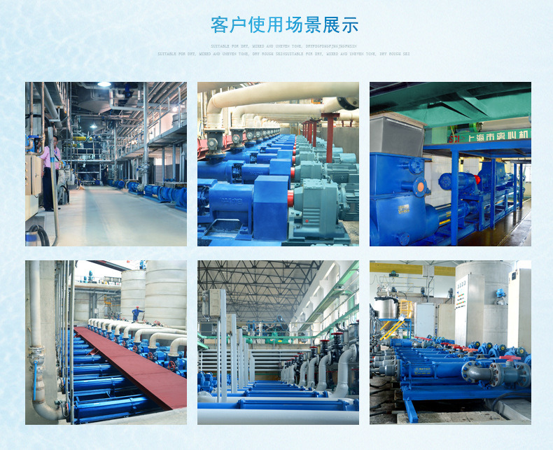 Sanitary Mono Screw Pump for Food, Beverage, Chemical, Mud