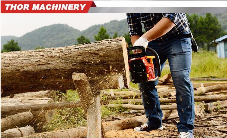 Credible Petrol Chain Saw Wood Cutting Machine 5205