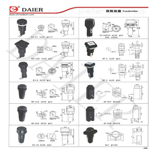 Car Panel Mounted Blade Fuse Holder (QS02)