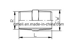 Stainless Steel 150lb Thread Pipe Fitting