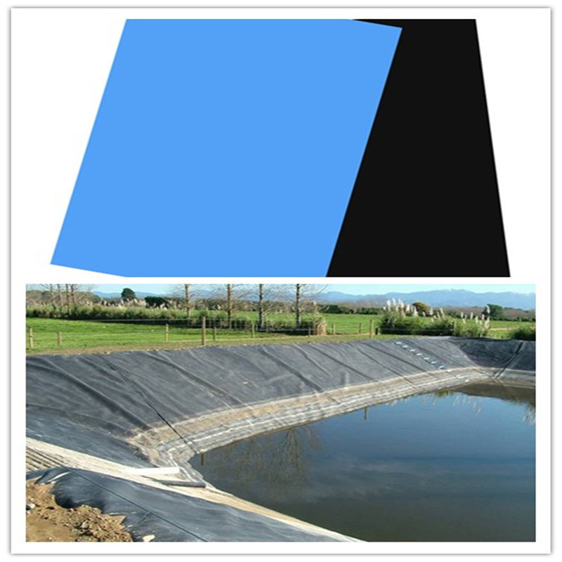 Black Color 1.0mm HDPE Geomembrane/LDPE Liner/Pond Liner