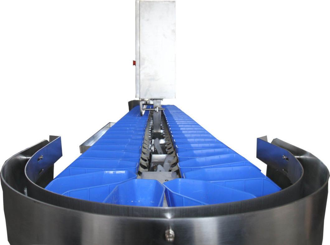Conveyor Belt Weight Sorter Machine with Automatic Reject System