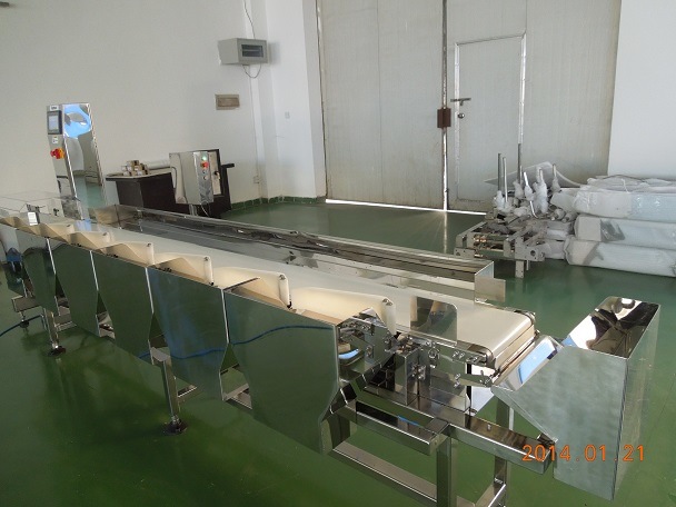 Automated Weight Grading Machine with 4 Channel Outlets for Dead Fish