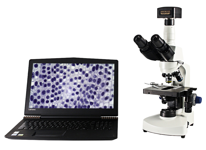 Lab Video Biological Microscope for Teaching